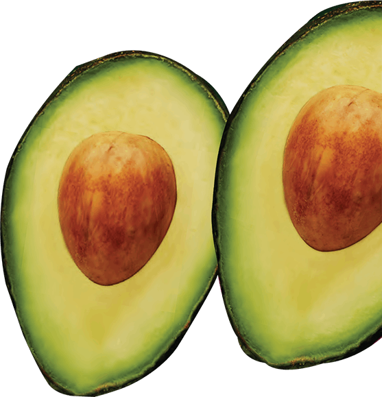 A picture of two sliced avocados on a white background. 
