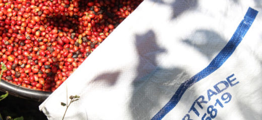 A large pile of red pepper lying in the background of FairTrade bag