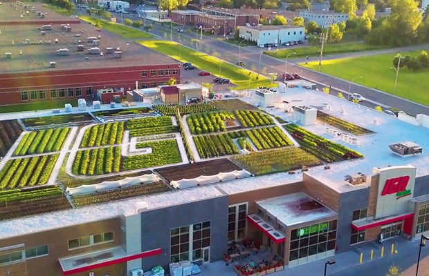 An image showing a picture of the rooftop of the IGA West store on which plants are shaped in the letters "IGA".